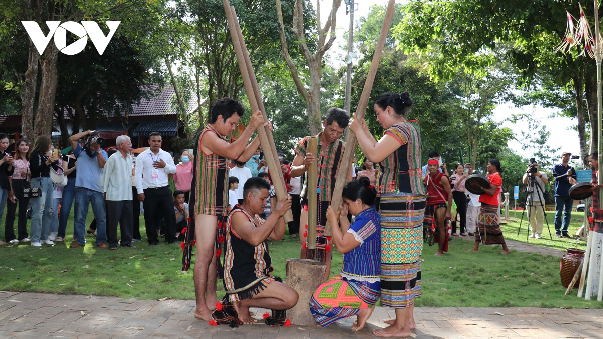 bu Dang binh phuoc tai hien hinh anh gia gao nuoi quan tren soc bom bo hinh anh 3