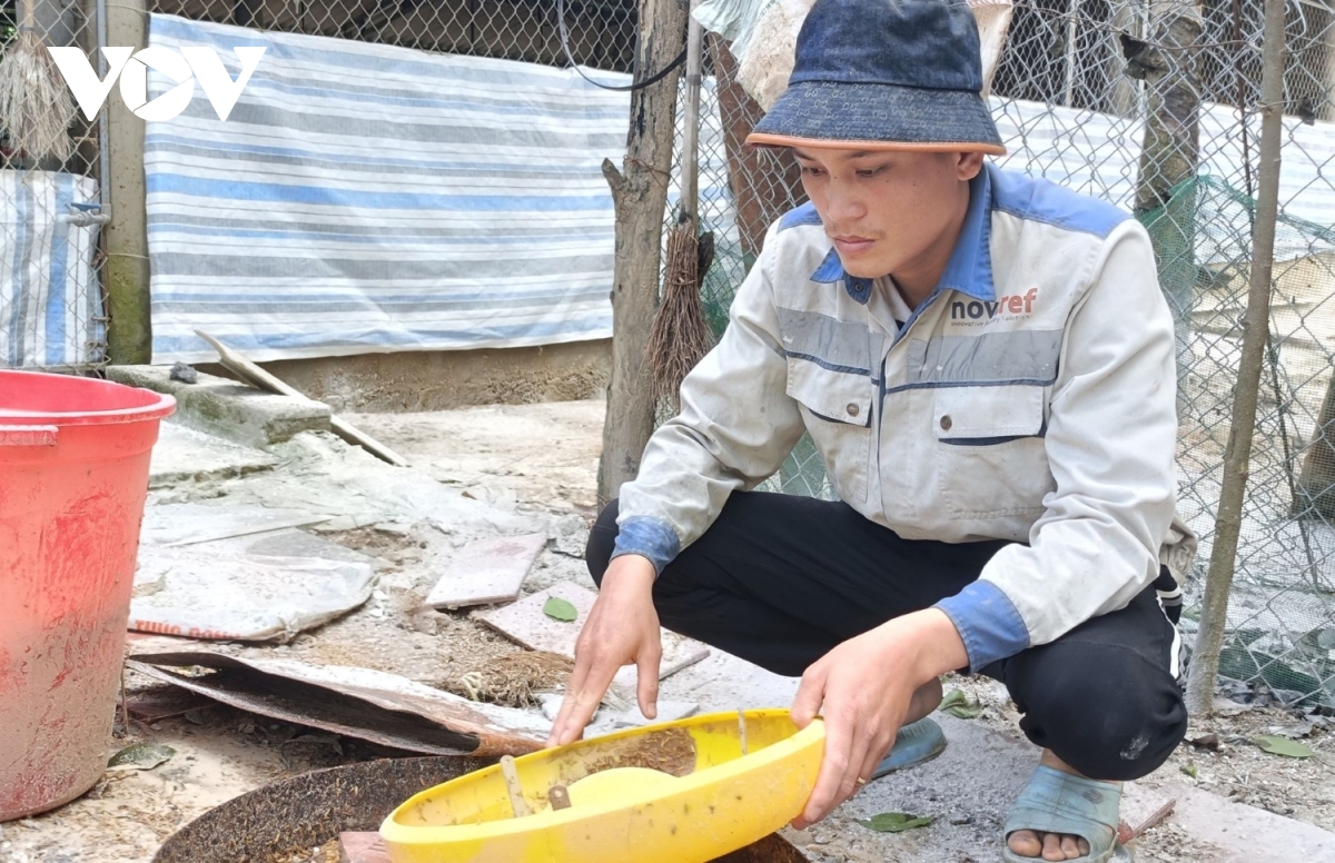 quang binh nguoi chan nuoi thiet hai nang sau lu can duoc ho tro hinh anh 1
