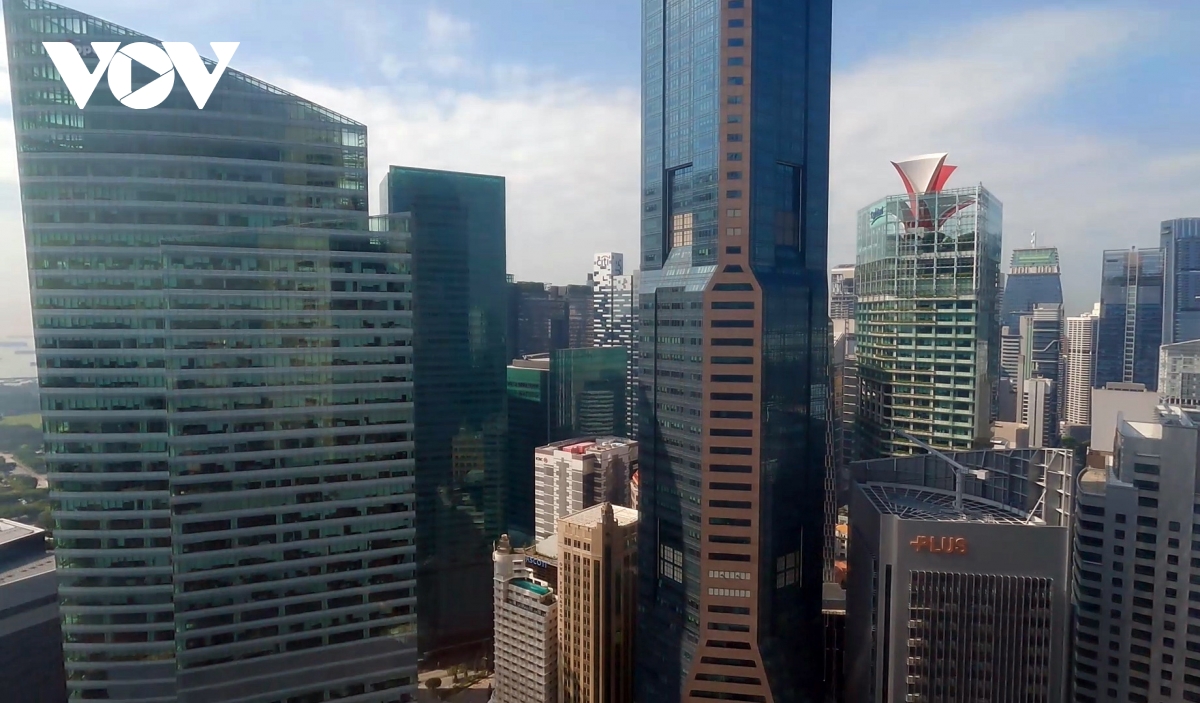 bin corporation hanh trinh 15 nam nuoi duong nang luong startup hinh anh 2