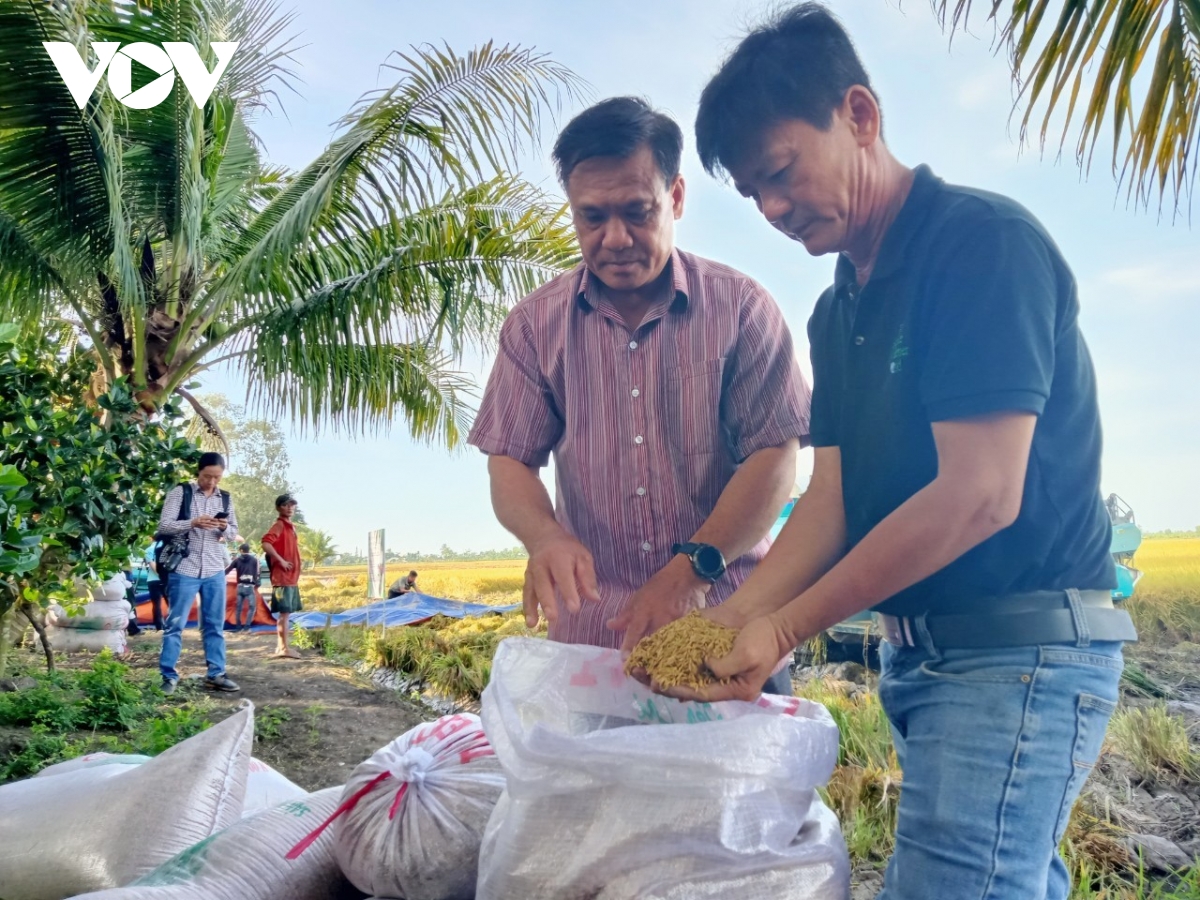 tạo thuận lợi để tiếp cận nguồn tín dụng trong đề án 1 triệu hecta lúa ở Đbscl hình ảnh 3 tao thuan loi de tiep can nguon tin dung trong de an 1 trieu hecta lua o Dbscl hinh anh 3