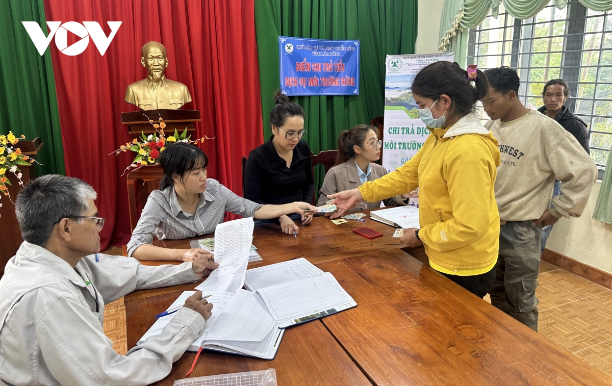 chinh sach chi tra dich vu moi truong rung voi viec bao ve, phat trien rung o lam Dong hinh anh 1