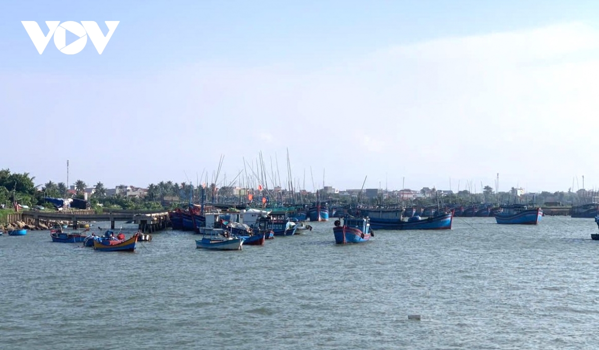 phú yên xử lý dứt điểm tàu cá 3 không trước ngày 20 11 hình ảnh 2 phu yen xu ly dut diem tau ca 3 khong truoc ngay 20 11 hinh anh 2