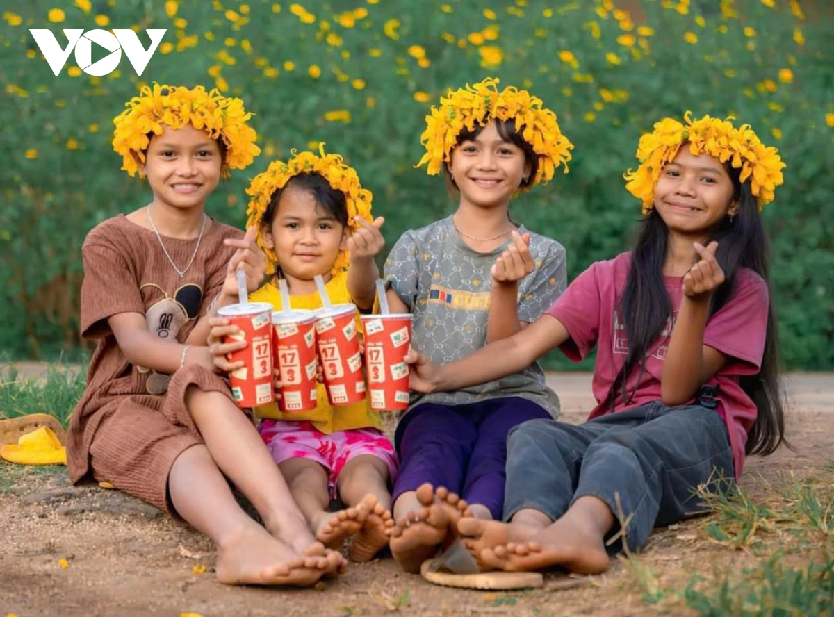 ngắm sắc vàng rực rỡ của dã quỳ chư Đang ya hình ảnh 7 ngam sac vang ruc ro cua da quy chu Dang ya hinh anh 7