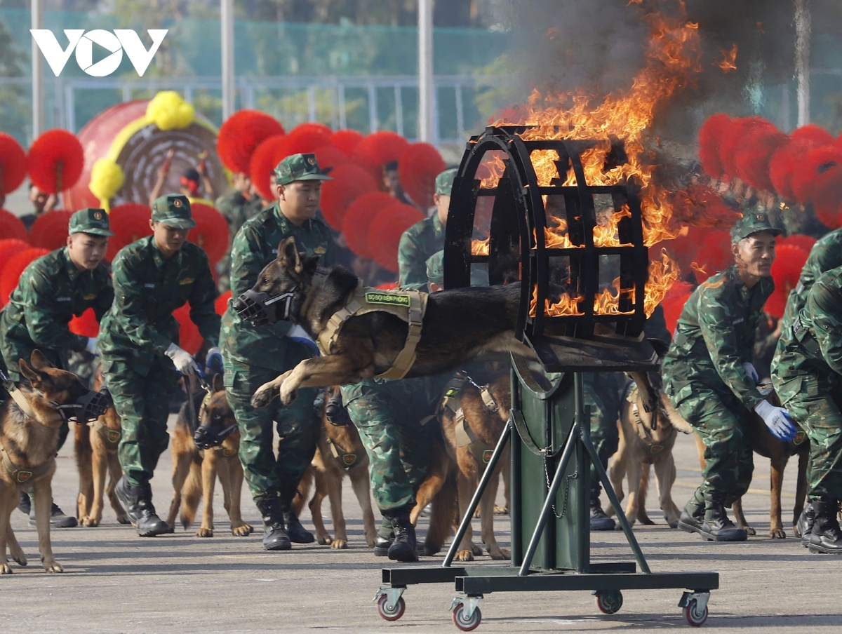 Đại tướng phan văn giang kiểm tra, tổng duyệt triển lãm quốc phòng quốc tế việt nam hình ảnh 9 Dai tuong phan van giang kiem tra, tong duyet trien lam quoc phong quoc te viet nam hinh anh 9