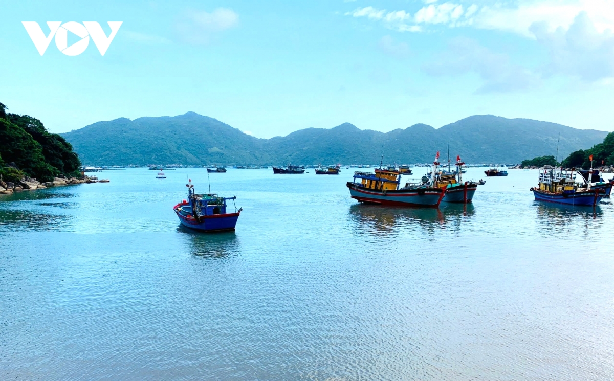 kỷ niệm 60 năm bến vũng rô tiếp nhận chuyến hàng đầu tiên của tàu không số hình ảnh 2 ky niem 60 nam ben vung ro tiep nhan chuyen hang dau tien cua tau khong so hinh anh 2