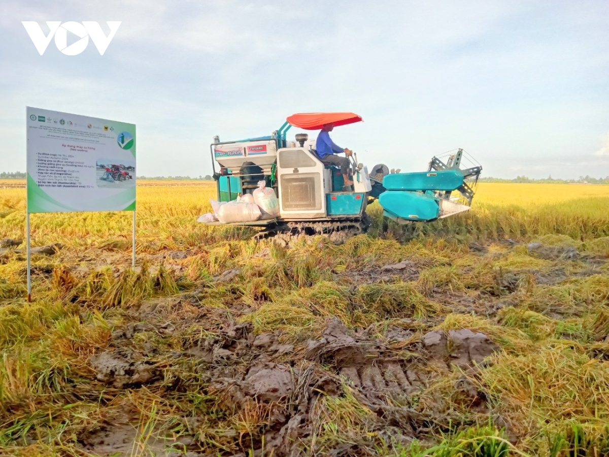 tạo thuận lợi để tiếp cận nguồn tín dụng trong đề án 1 triệu hecta lúa ở Đbscl hình ảnh 2 tao thuan loi de tiep can nguon tin dung trong de an 1 trieu hecta lua o Dbscl hinh anh 2