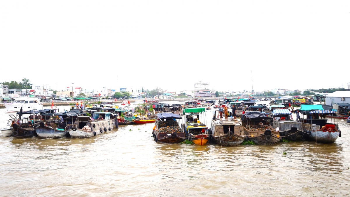 nhộn nhịp chợ nổi cái răng mùa lễ hội hình ảnh 1 nhon nhip cho noi cai rang mua le hoi hinh anh 1