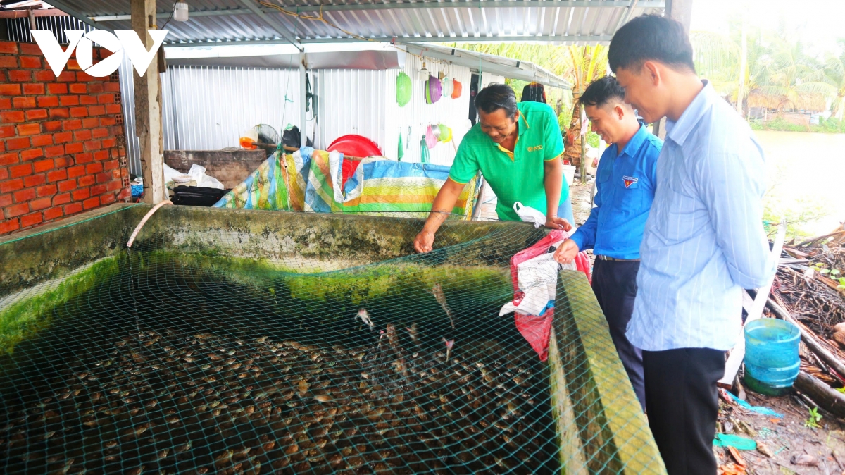 thanh niên khmer khởi nghiệp, xây dựng được mô hình kinh tế hiệu quả hình ảnh 2 thanh nien khmer khoi nghiep, xay dung duoc mo hinh kinh te hieu qua hinh anh 2