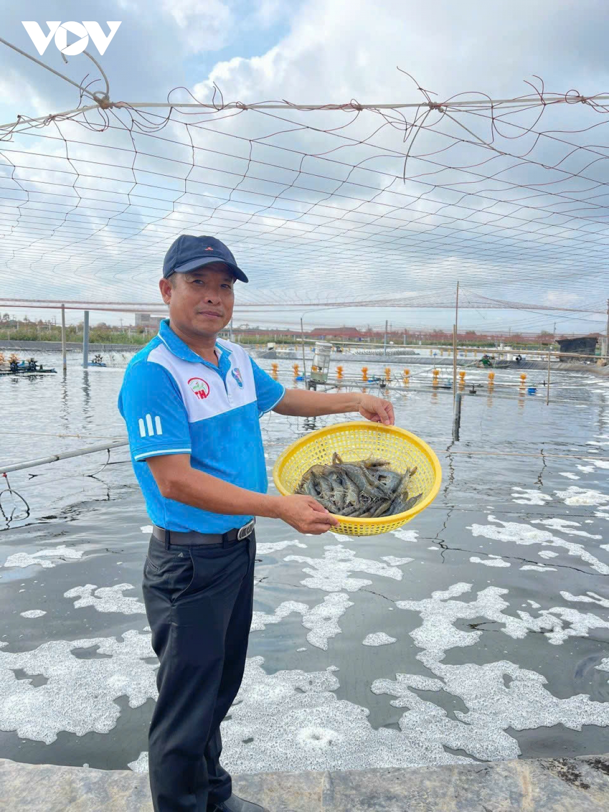 Ngành nuôi tôm ĐBSCL cần giảm chi phí sản xuất, giảm phát thải