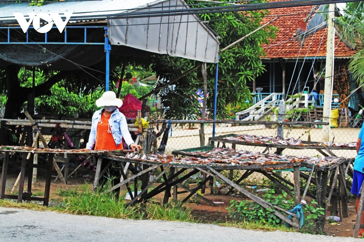 khô cá tra phồng - Đặc sản vùng đầu nguồn sông cửu long hình ảnh 11 kho ca tra phong - Dac san vung dau nguon song cuu long hinh anh 11