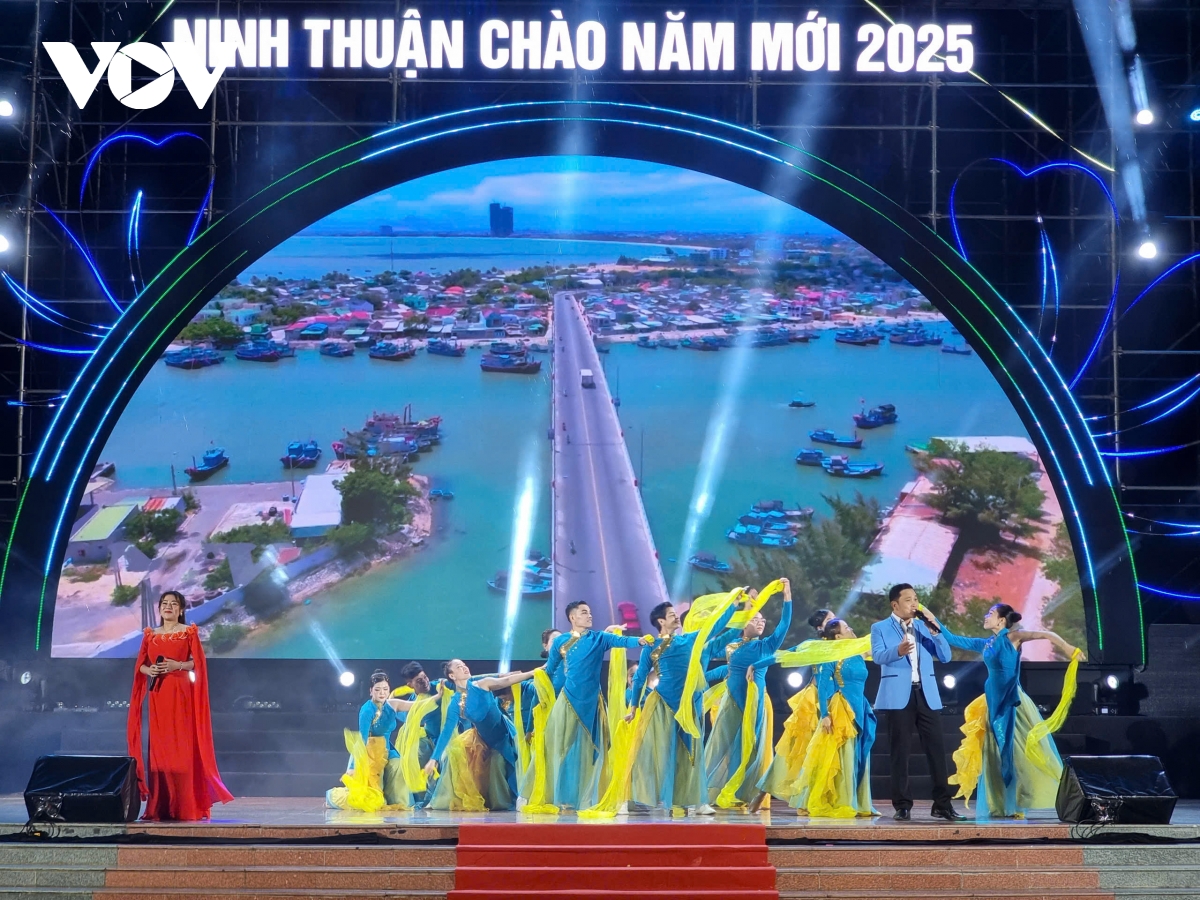 viet nam chao don nam moi 2025 hinh anh 185