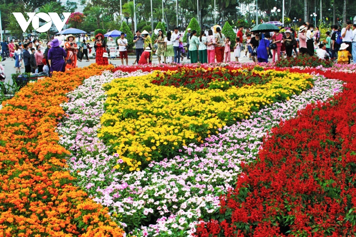ruc ro sac xuan o lang hoa sa Dec - thu phu hoa lon nhat mien tay hinh anh 18