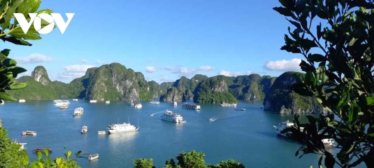 ve dep vinh ha long sau 30 nam duoc ghi danh di san the gioi hinh anh 1