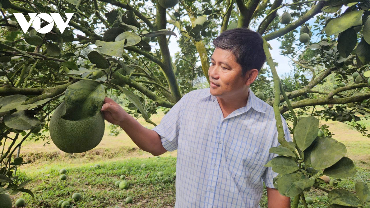 thoi tiet bat loi, gia nong san tang manh ngay truoc tet hinh anh 1