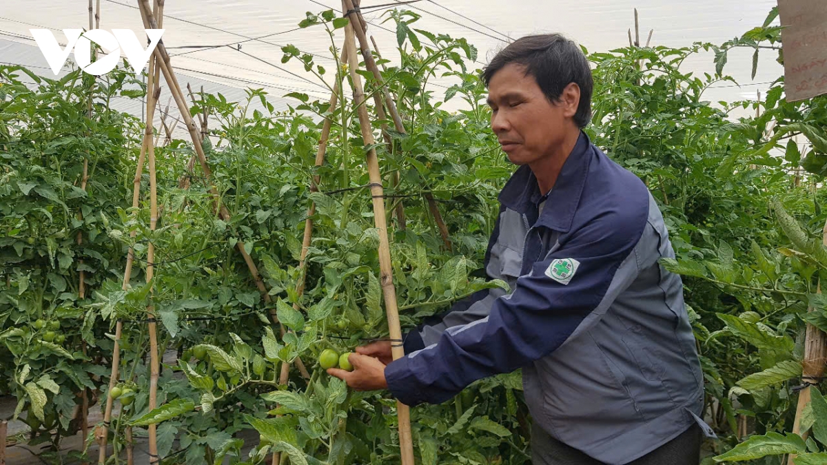 thoi tiet bat loi, gia nong san tang manh ngay truoc tet hinh anh 4