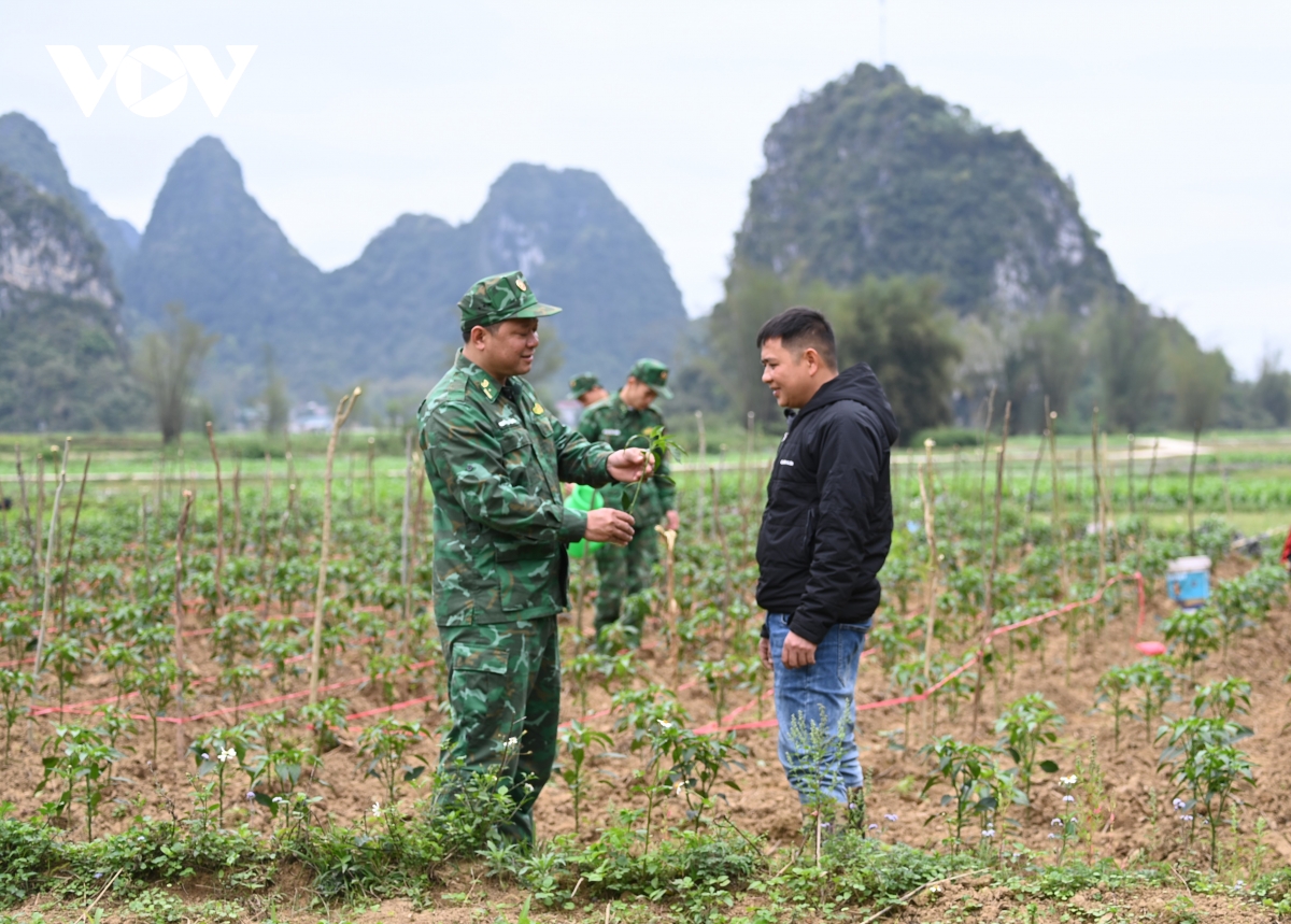 gan ket tinh quan dan noi bien cuong to quoc hinh anh 5