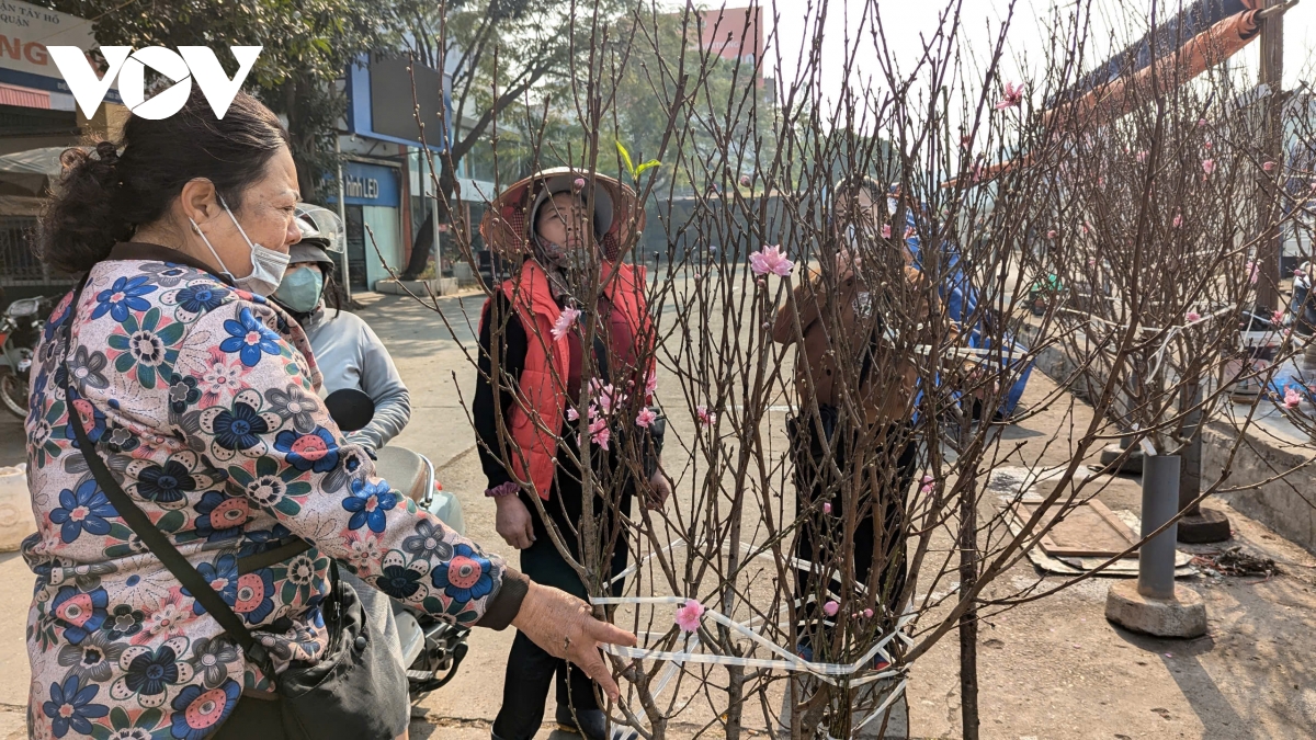 Dao nhat tan, dao nui xuong pho hut khach choi tet som hinh anh 6