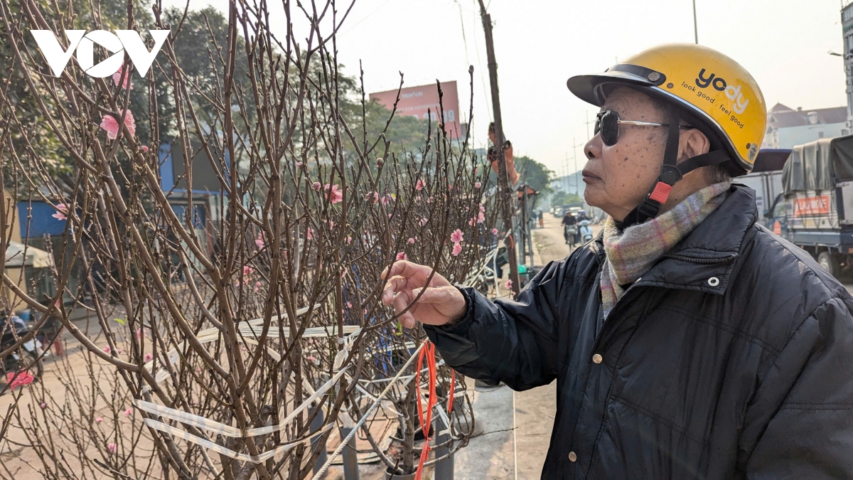 Dao nhat tan, dao nui xuong pho hut khach choi tet som hinh anh 9