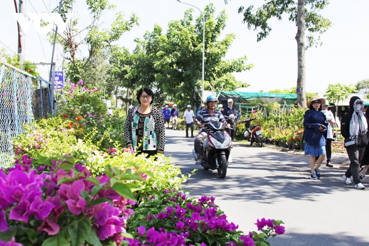 ruc ro sac xuan o lang hoa sa Dec - thu phu hoa lon nhat mien tay hinh anh 8