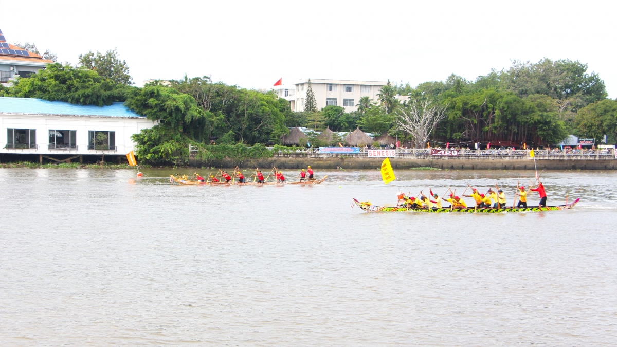 nguoi dan Dbscl hao hung dua ghe ngo va dua vo composite hinh anh 4