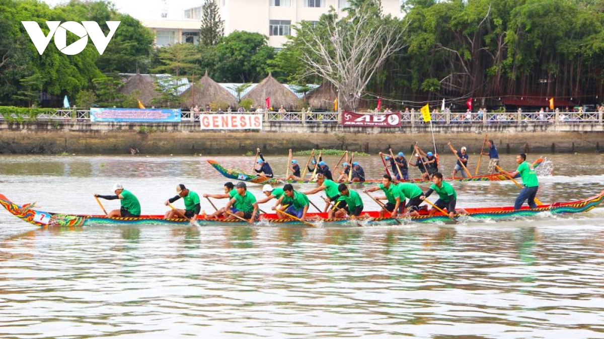 nguoi dan Dbscl hao hung dua ghe ngo va dua vo composite hinh anh 6