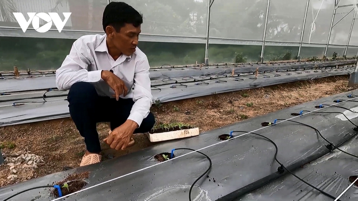 nông dân trà vinh ứng dụng mạnh mẽ chuyển đổi số vào sản xuất nông nghiệp hình ảnh 1 nong dan tra vinh ung dung manh me chuyen doi so vao san xuat nong nghiep hinh anh 1