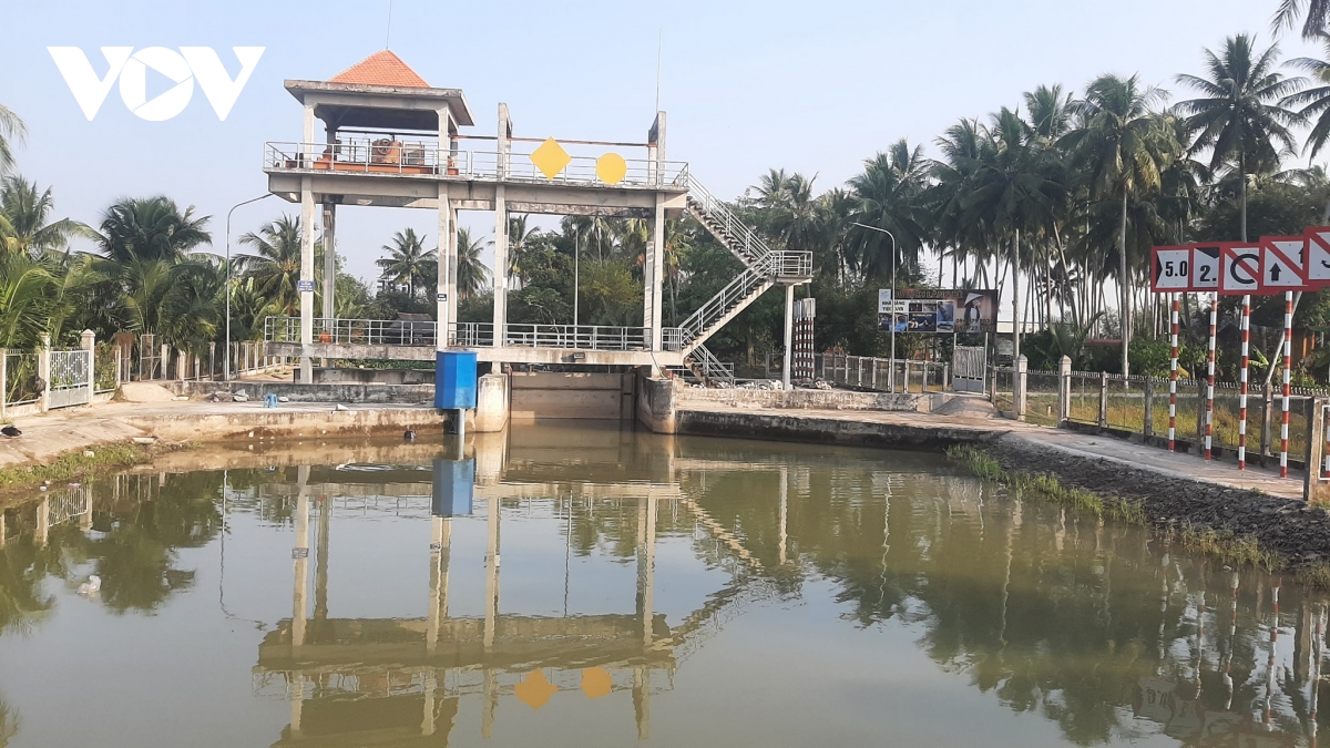 xứ dừa khẩn trương ứng phó với hạn, mặn mùa khô hình ảnh 4 xu dua khan truong ung pho voi han, man mua kho hinh anh 4