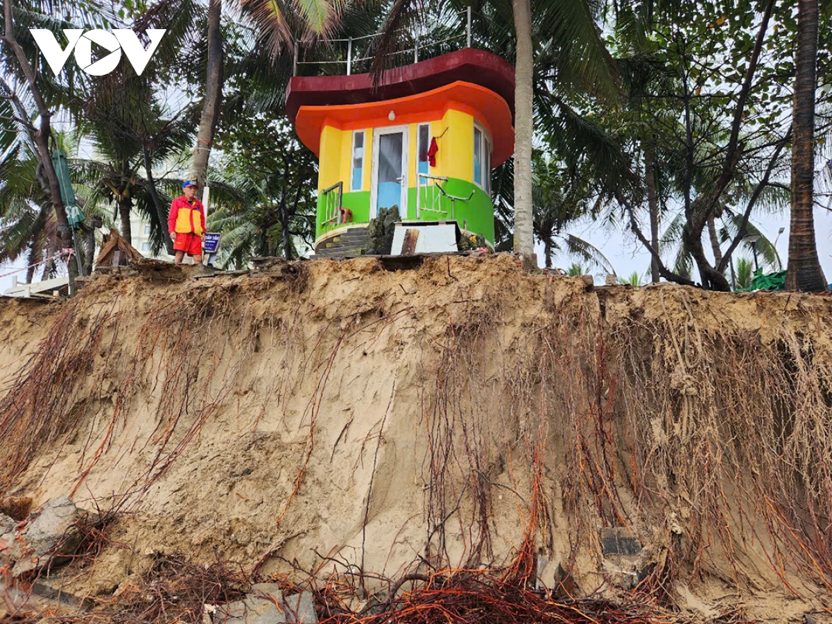 bãi biển đẹp nhất Đà nẵng bị triều cường tàn phá hình ảnh 11 bai bien dep nhat Da nang bi trieu cuong tan pha hinh anh 11