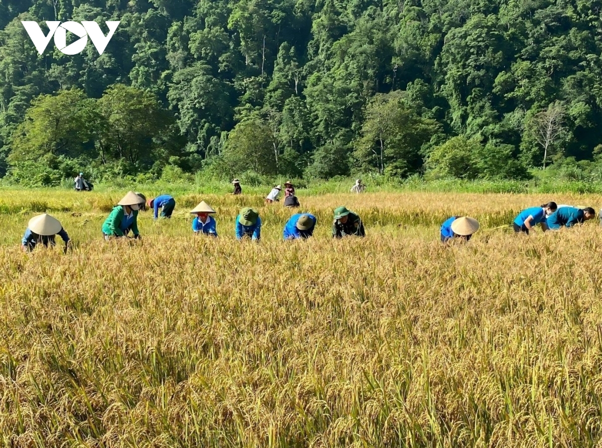 Kỳ tích người Rục: Hành trình 65 mùa xuân từ sống trong hang đá đến xây bản làng ấm no