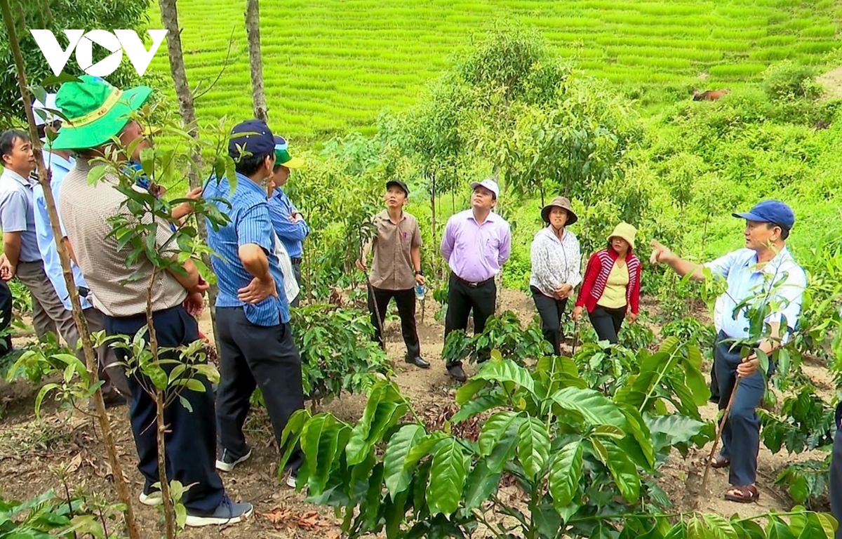 hai xã nghèo nhất kon tum thoát nghèo ngoạn mục nhờ hướng đi đúng hình ảnh 1 hai xa ngheo nhat kon tum thoat ngheo ngoan muc nho huong di dung hinh anh 1