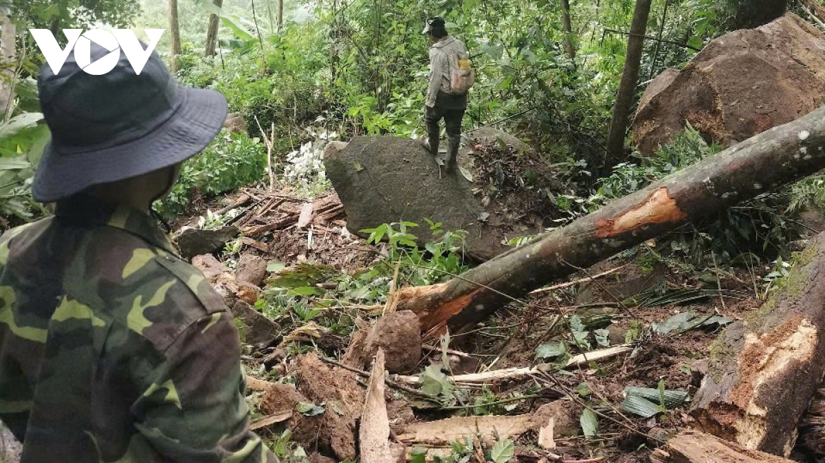 Dong dat o kon tum lam hang chuc tang da lan xuong lang o quang nam hinh anh 1