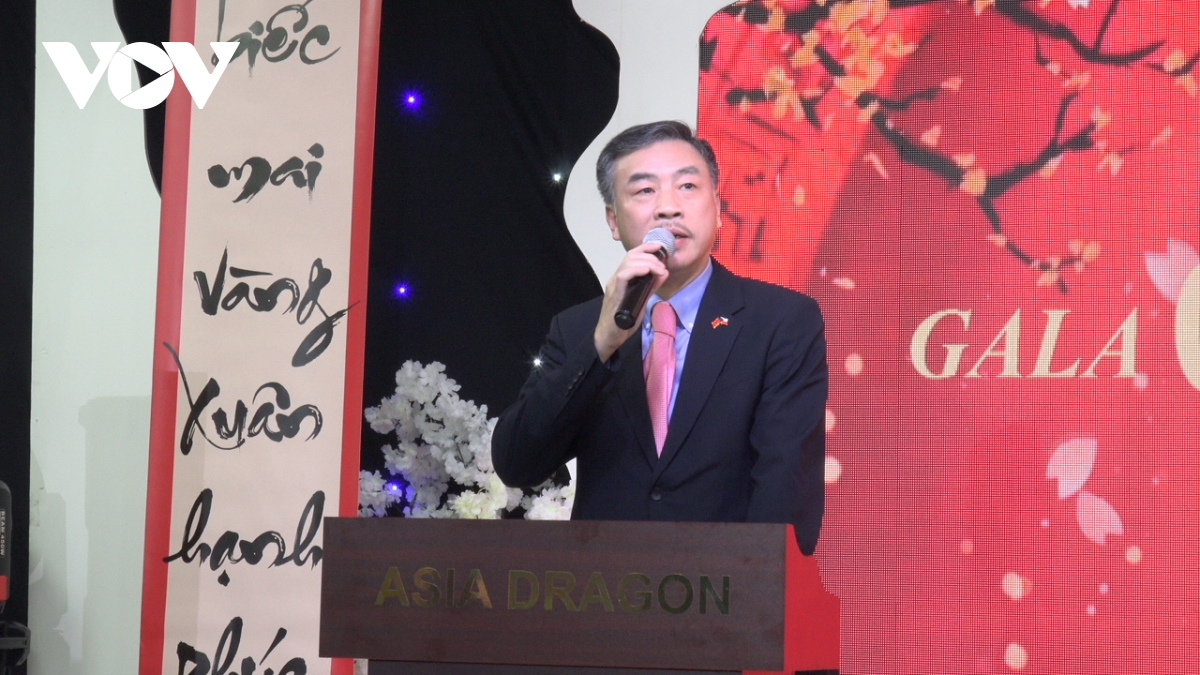 cộng đồng người việt tại séc chào đón năm mới 2025 hình ảnh 2 cong dong nguoi viet tai sec chao don nam moi 2025 hinh anh 2