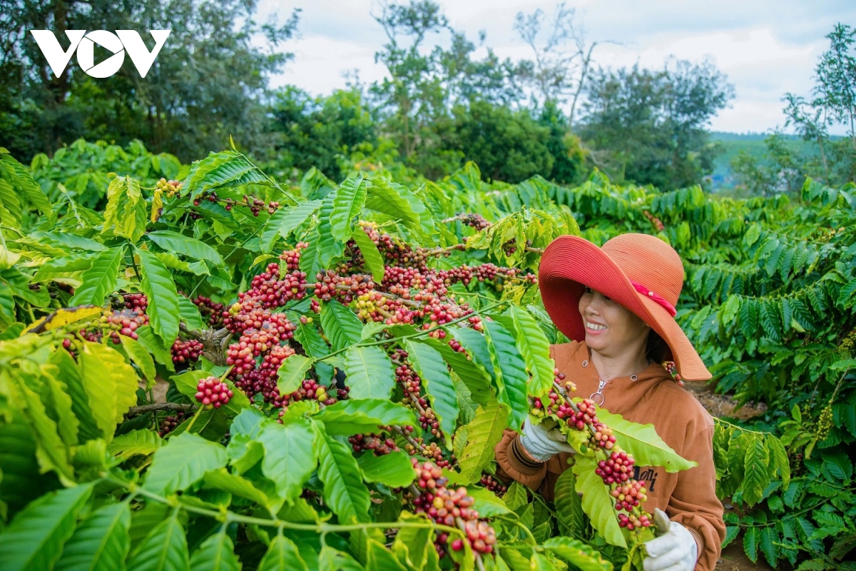 xây dựng nông thôn mới giàu bản sắc ở gia nghĩa thành phố trẻ nhất tây nguyên hình ảnh 1 xay dung nong thon moi giau ban sac o gia nghia thanh pho tre nhat tay nguyen hinh anh 1