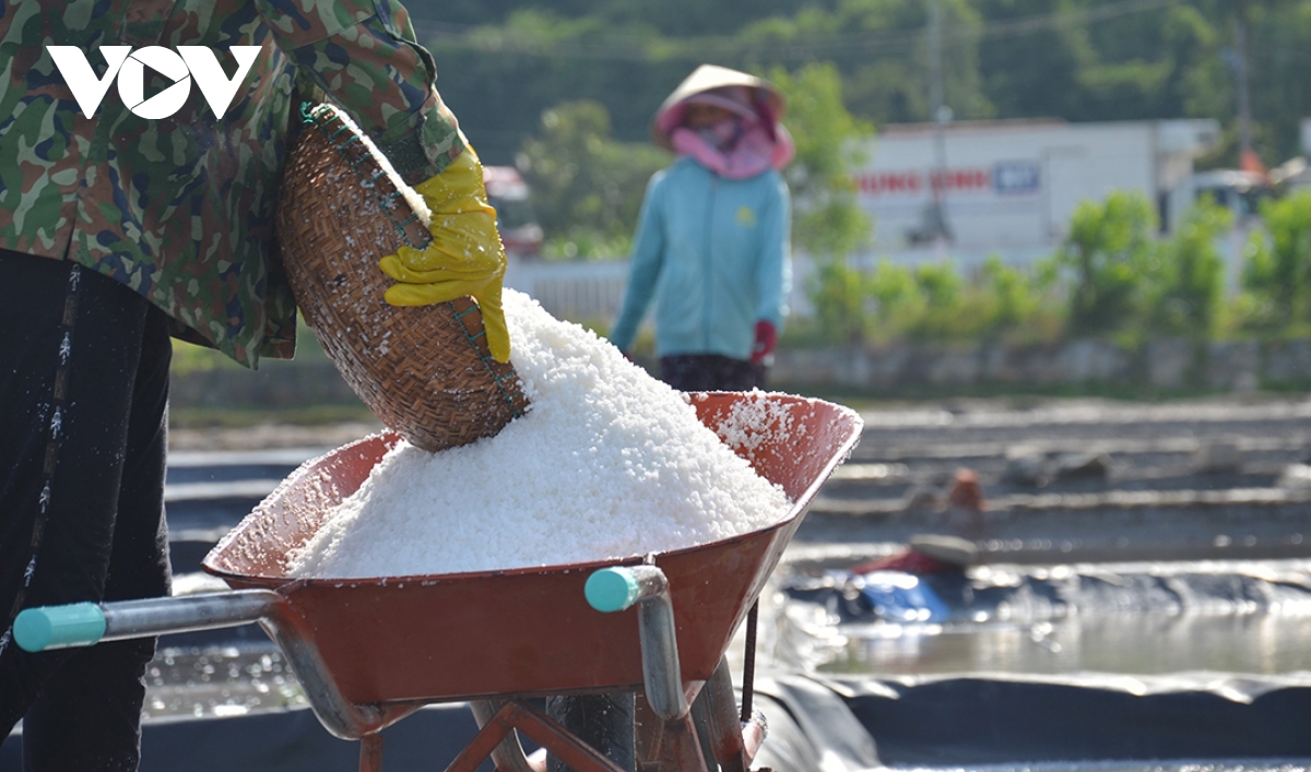 nghe lam muoi sa huynh duoc cong nhan di san van hoa phi vat the quoc gia hinh anh 1