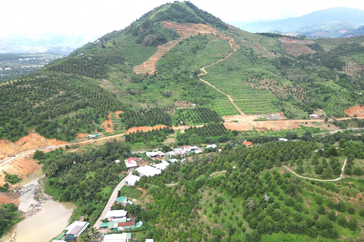 nguoi uy tin o khanh hoa lam guong san xuat kinh te gioi hinh anh 3