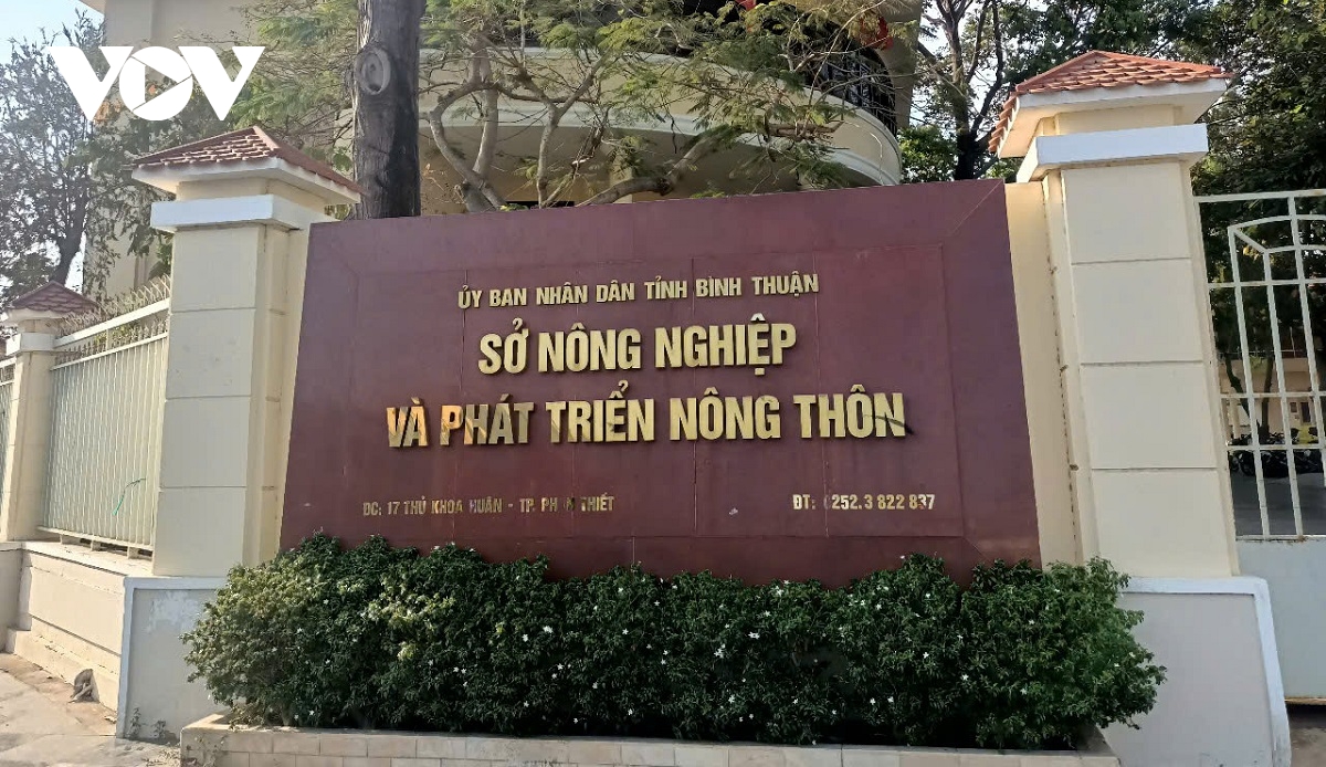 bình thuận giảm 5 sở và hàng chục phòng khi tinh gọn bộ máy hình ảnh 1 binh thuan giam 5 so va hang chuc phong khi tinh gon bo may hinh anh 1