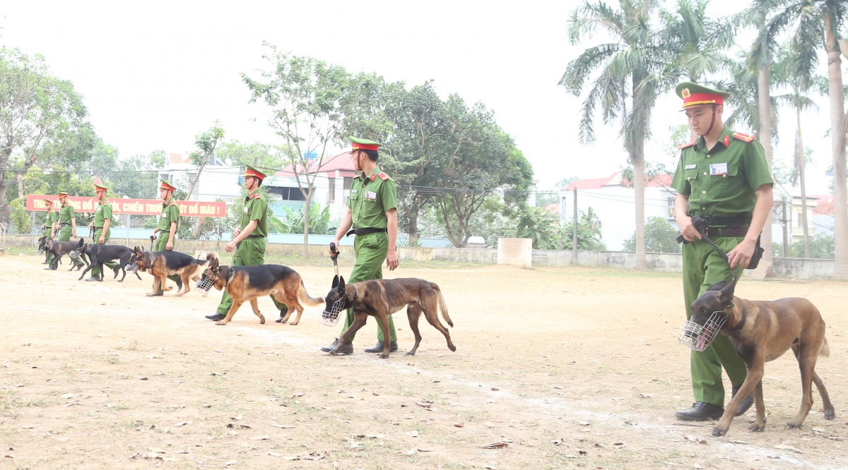 trung tam huan luyen va su dung dong vat nghiep vu bo cong an nhan hc chien cong hang ba hinh anh 1