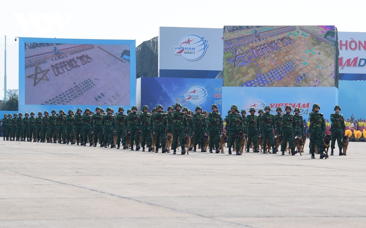 máy bay, đặc công, quân khuyển trình diễn mãn nhãn khai mạc triển lãm quốc phòng hình ảnh 12 may bay, dac cong, quan khuyen trinh dien man nhan khai mac trien lam quoc phong hinh anh 12