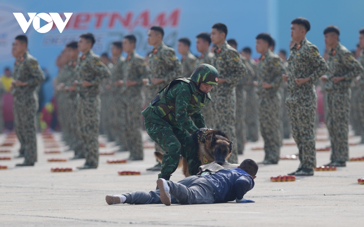 máy bay, đặc công, quân khuyển trình diễn mãn nhãn khai mạc triển lãm quốc phòng hình ảnh 14 may bay, dac cong, quan khuyen trinh dien man nhan khai mac trien lam quoc phong hinh anh 14