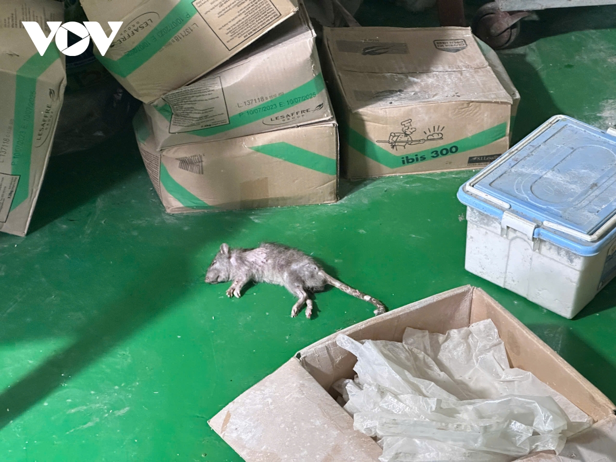 sơn la phát hiện hơn 3000 chiếc bánh mỳ được phù phép để kéo dài hạn sử dụng hình ảnh 3 son la phat hien hon 3000 chiec banh my duoc phu phep de keo dai han su dung hinh anh 3