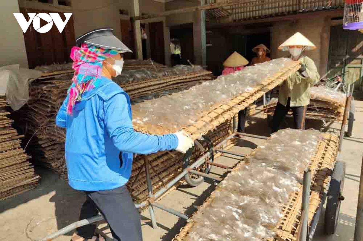 Làng miến Bình Lư hối hả vào vụ Tết