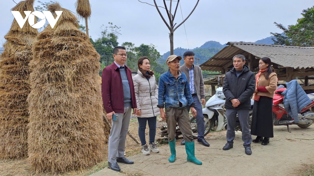 bắc kạn đối phó với thời tiết rét đậm, rét hại hình ảnh 1 bac kan doi pho voi thoi tiet ret dam, ret hai hinh anh 1
