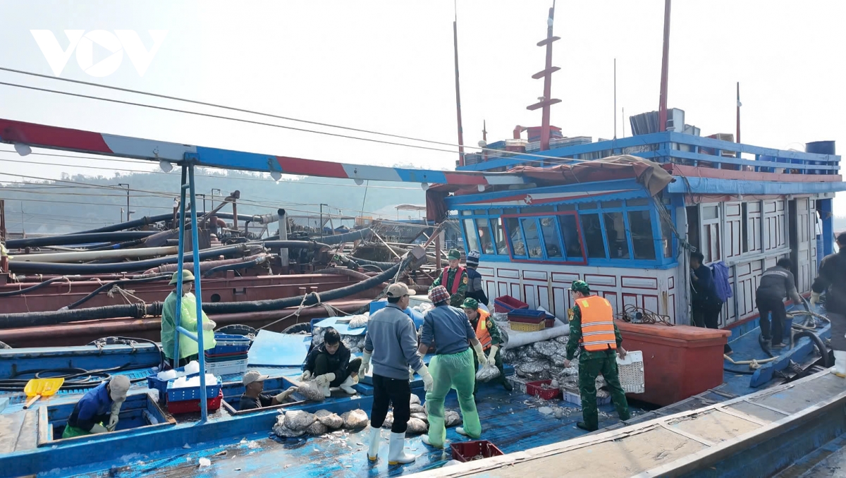 cứu hộ 13 ngư dân gặp nạn trên vùng biển cô tô quảng ninh hình ảnh 2 cuu ho 13 ngu dan gap nan tren vung bien co to quang ninh hinh anh 2