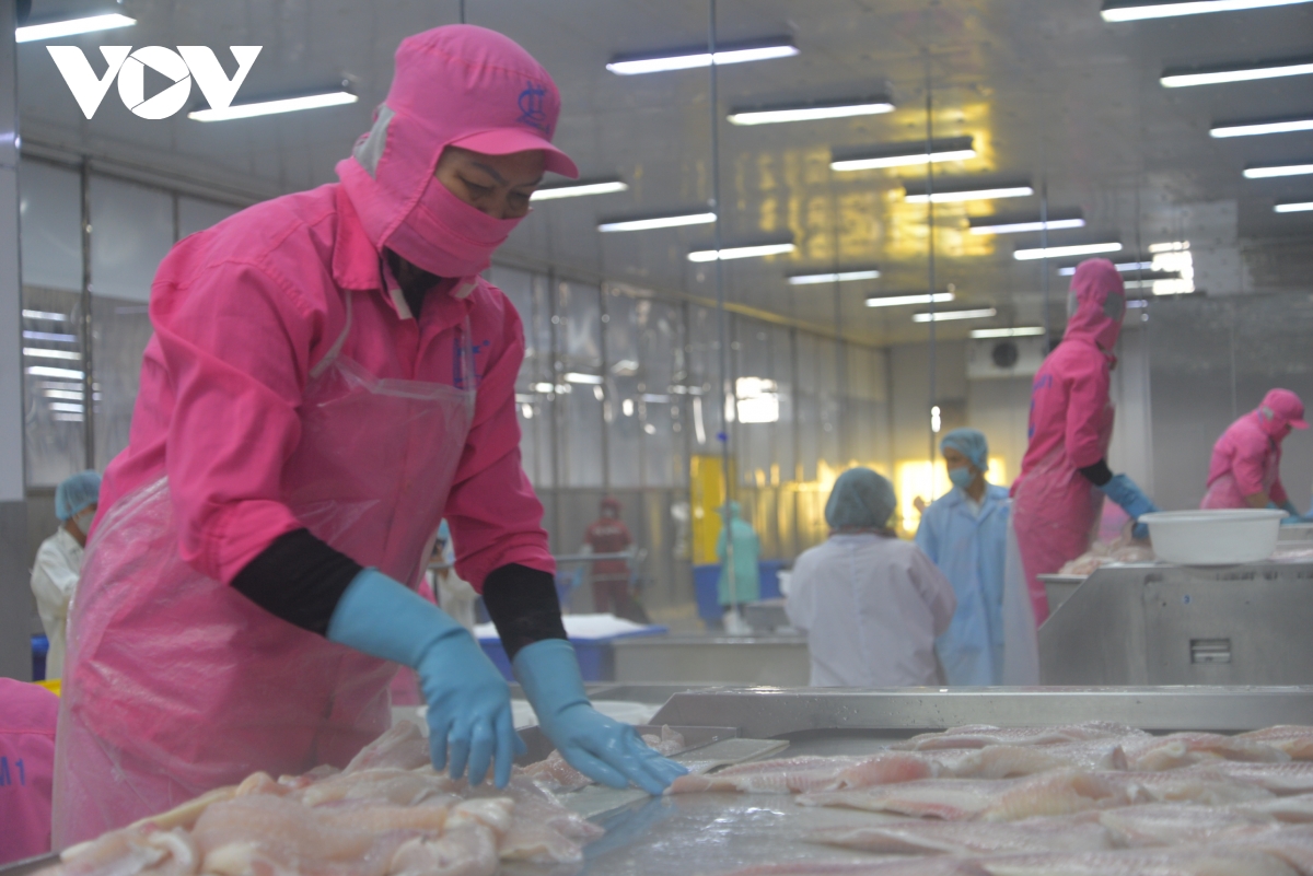 nhiều cơ hội cho thủy sản việt nam tại thị trường halal hình ảnh 1 nhieu co hoi cho thuy san viet nam tai thi truong halal hinh anh 1