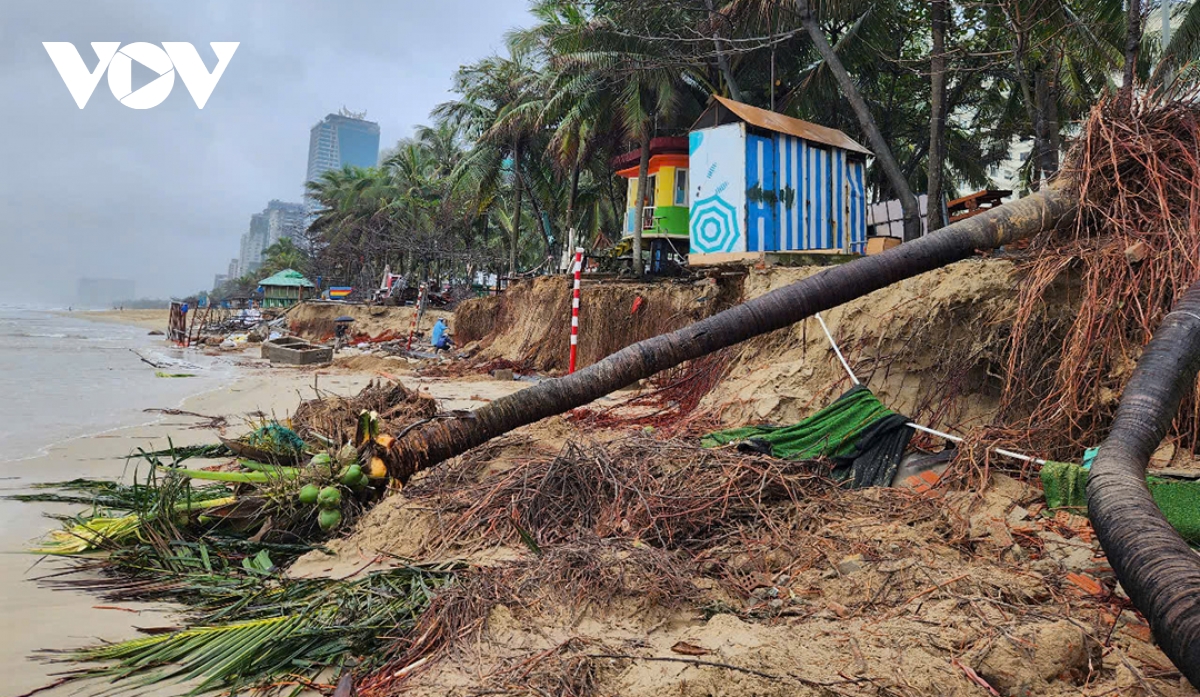 bãi biển đẹp nhất Đà nẵng bị triều cường tàn phá hình ảnh 5 bai bien dep nhat Da nang bi trieu cuong tan pha hinh anh 5