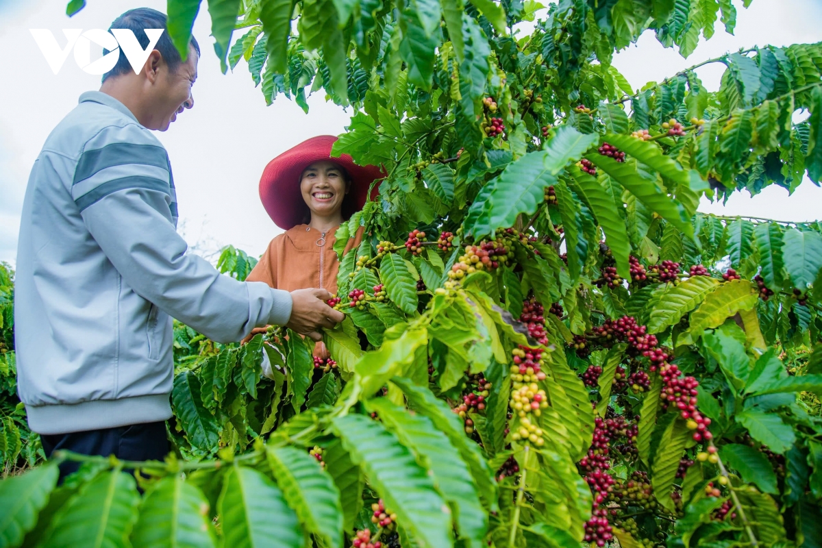 Đắk Nông nỗ lực hoàn thành mục tiêu xây dựng nông thôn mới