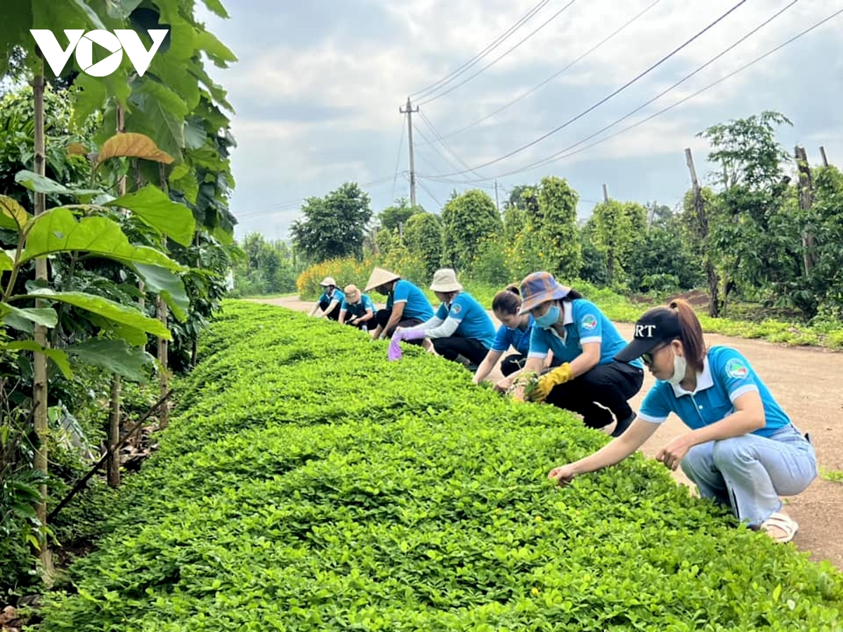 phụ nữ Đắk lắk góp sức xây dựng nông thôn mới từ mô hình 3 sạch hình ảnh 1 phu nu Dak lak gop suc xay dung nong thon moi tu mo hinh 3 sach hinh anh 1