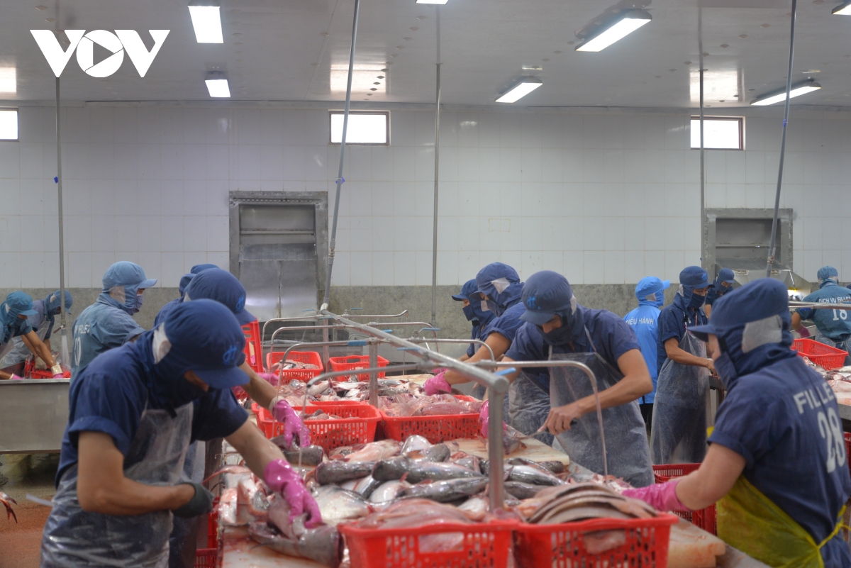 nhiều cơ hội cho thủy sản việt nam tại thị trường halal hình ảnh 2 nhieu co hoi cho thuy san viet nam tai thi truong halal hinh anh 2