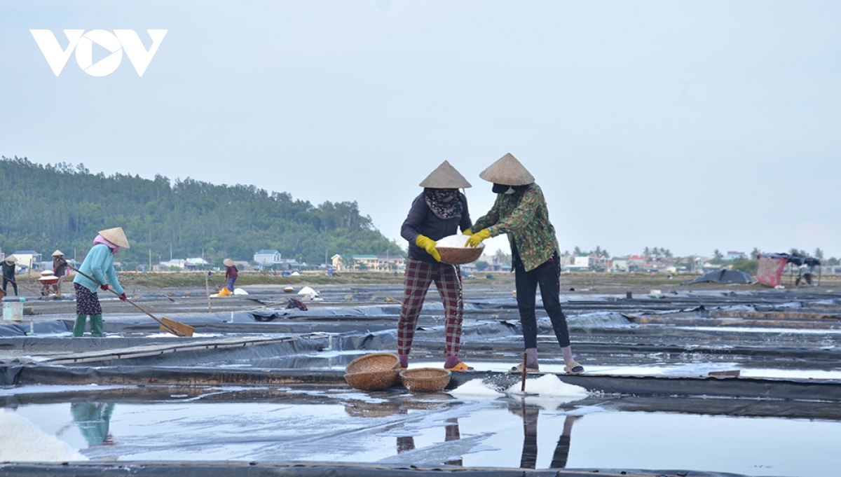 nghe lam muoi sa huynh duoc cong nhan di san van hoa phi vat the quoc gia hinh anh 2