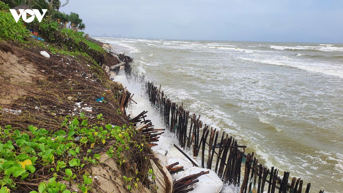 quang nam cong bo tinh huong khan cap ve sat lo tai bo bien hoi an hinh anh 1